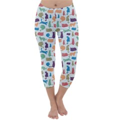 Capri Winter Leggings Front Capri Winter Leggings Front