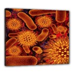 Chemical Biology Bacteria Bacterium Canvas 24  x 20 