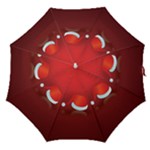 Red Christmas Had Straight Umbrellas