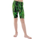 Bamboo Pattern Tree Kids  Mid Length Swim Shorts