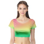 The Walls Pink Green Yellow Short Sleeve Crop Top (Tight Fit)