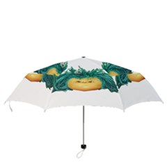 Folding Umbrella 