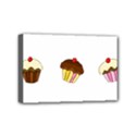 Mini Canvas 6  x 4  (Stretched) 