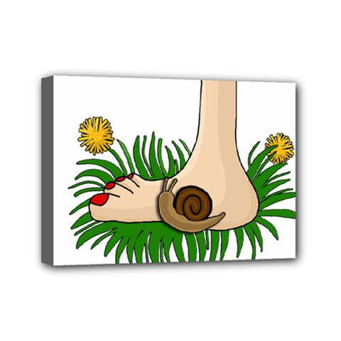 Barefoot in the grass Mini Canvas 7  x 5  from ArtsNow.com