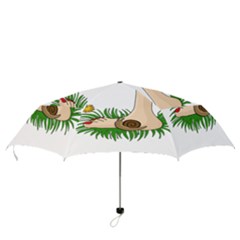 Folding Umbrella 