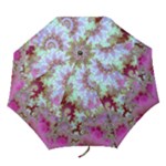 Raspberry Lime Delighraspberry Lime Delight, Abstract Ferris Wheel Folding Umbrellas Raspberry Lime Delighraspberry Lime Delight, Abstract Ferris Wheel Folding Umbrellas