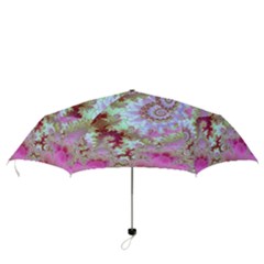 Folding Umbrella 