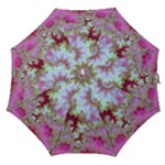 Raspberry Lime Delighraspberry Lime Delight, Abstract Ferris Wheel Straight Umbrellas Raspberry Lime Delighraspberry Lime Delight, Abstract Ferris Wheel Straight Umbrellas