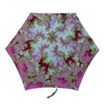 Raspberry Lime Delighraspberry Lime Delight, Abstract Ferris Wheel Mini Folding Umbrellas