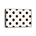 Mini Canvas 6  x 4  (Stretched) 