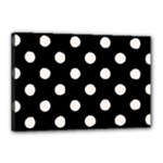 Polka Dots - Seashell on Black Canvas 18  x 12  (Stretched)