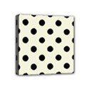 Mini Canvas 4  x 4  (Stretched) 