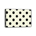 Mini Canvas 6  x 4  (Stretched) 
