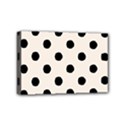 Mini Canvas 6  x 4  (Stretched) 