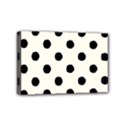 Mini Canvas 6  x 4  (Stretched) 