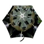 Panda Mini Folding Umbrella