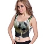 Panda Crop Top