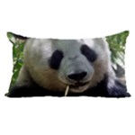 Panda Samsung Galaxy Note 4 Case (White)