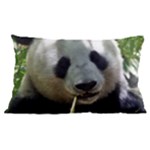 Panda Samsung Galaxy Note 4 Case (Black)