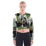 Panda Cropped Sweatshirt