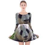 Panda Long Sleeve Velvet Skater Dress