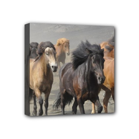 Running Horses Mini Canvas 4  x 4  (Stretched) from ArtsNow.com