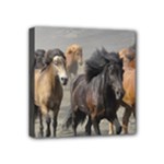 Running Horses Mini Canvas 4  x 4  (Stretched)