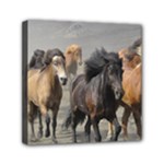 Running Horses Mini Canvas 6  x 6  (Stretched)