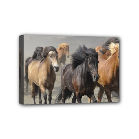 Running Horses Mini Canvas 6  x 4  (Stretched) from ArtsNow.com