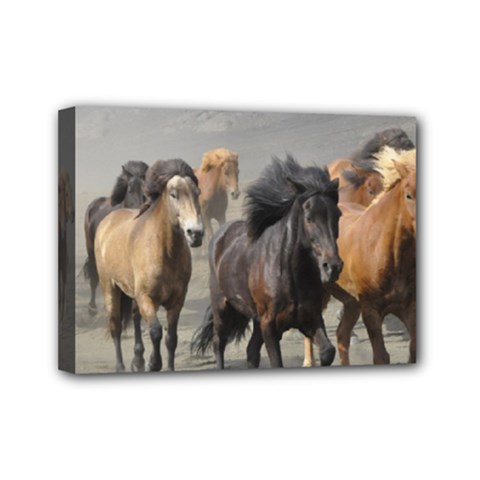 Running Horses Mini Canvas 7  x 5  (Stretched) from ArtsNow.com