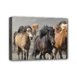 Running Horses Mini Canvas 7  x 5  (Stretched)