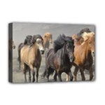 Running Horses Deluxe Canvas 18  x 12  (Stretched)