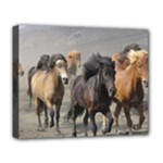 Running Horses Deluxe Canvas 20  x 16  (Stretched)