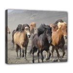 Running Horses Deluxe Canvas 24  x 20  (Stretched)