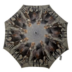 Hook Handle Umbrella (Small) 