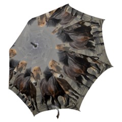 Hook Handle Umbrella (Small) 
