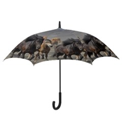 Hook Handle Umbrella (Small) 