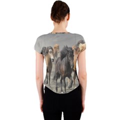 Crew Neck Crop Top 