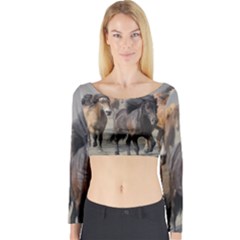 Long Sleeve Crop Top 