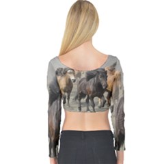 Long Sleeve Crop Top 