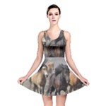 Running Horses Reversible Skater Dress