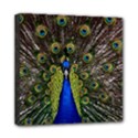 Mini Canvas 8  x 8  (Stretched) 