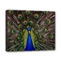 Canvas 10  x 8  (Stretched) 