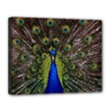 Canvas 14  x 11  (Stretched) 