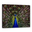 Canvas 20  x 16  (Stretched) 
