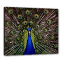 Canvas 24  x 20  (Stretched) 