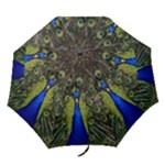 Peacock Folding Umbrella