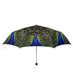 Folding Umbrella 