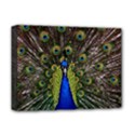 Deluxe Canvas 16  x 12  (Stretched)  