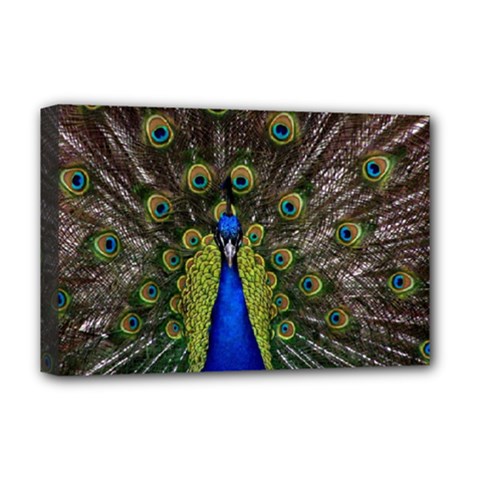 Peacock Deluxe Canvas 18  x 12  (Stretched) from ArtsNow.com